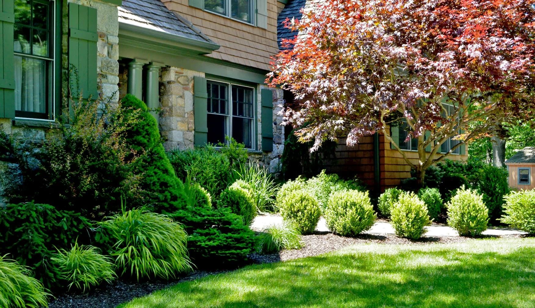 Tree & Shrub Planting Services in Murfreesboro, TN