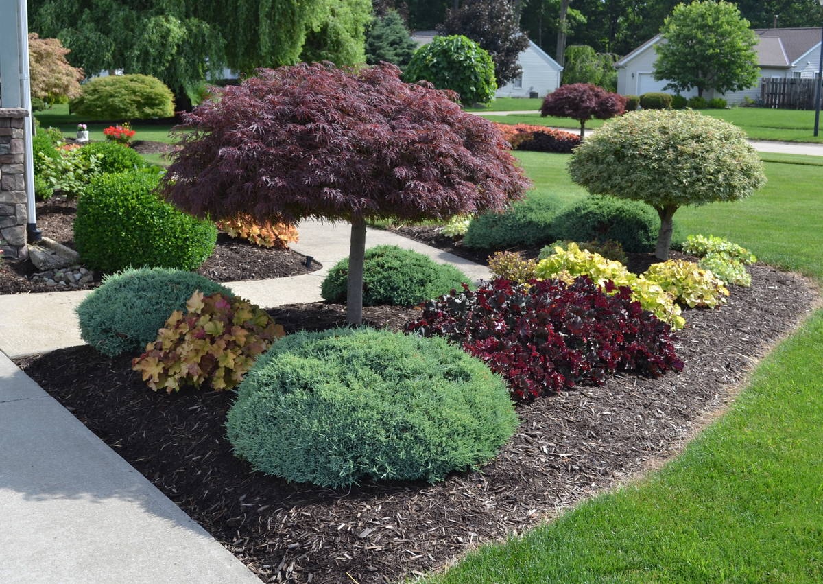Landscape Design project 6