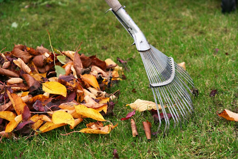 Leaf Removal project 4