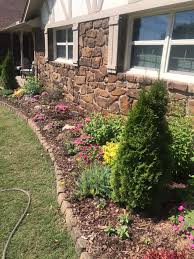 Tree & Shrub Planting in Antioch project 4