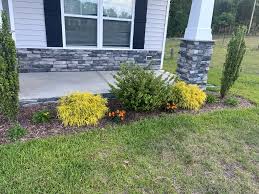 Tree & Shrub Planting in Antioch project 5