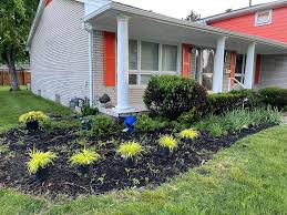 Tree & Shrub Planting in Antioch project 6