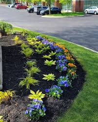 Tree & Shrub Planting in Antioch project 7