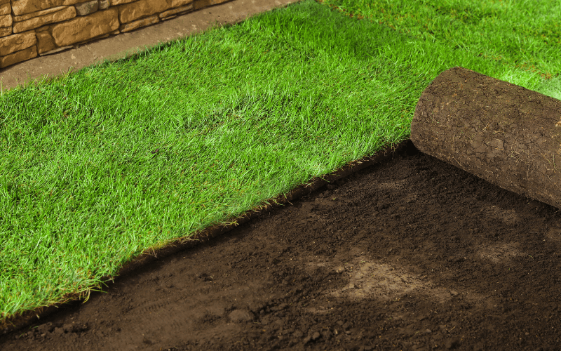 Sod Installation in Antioch project 1