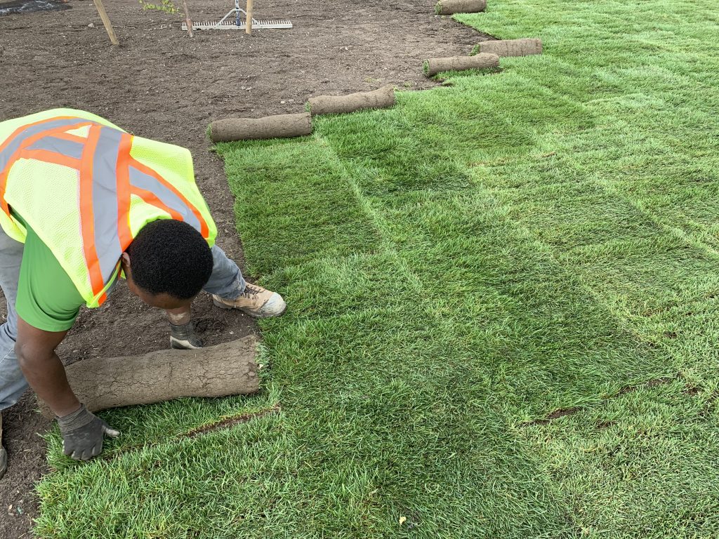 Sod Installation in Antioch project 2