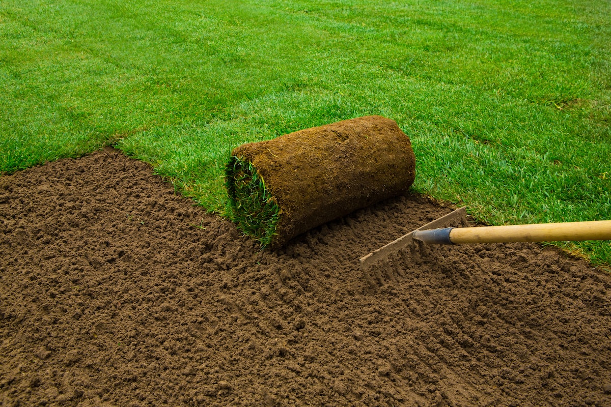 Sod Installation in Antioch project 3