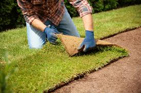 Sod Installation in Antioch project 4