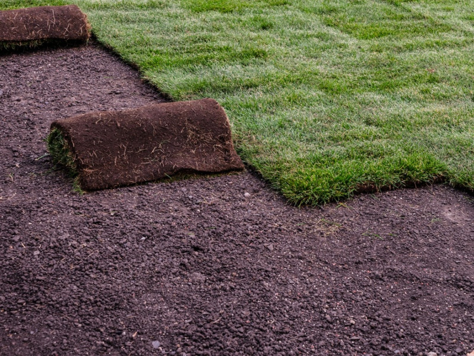 Sod Installation in Antioch project 6